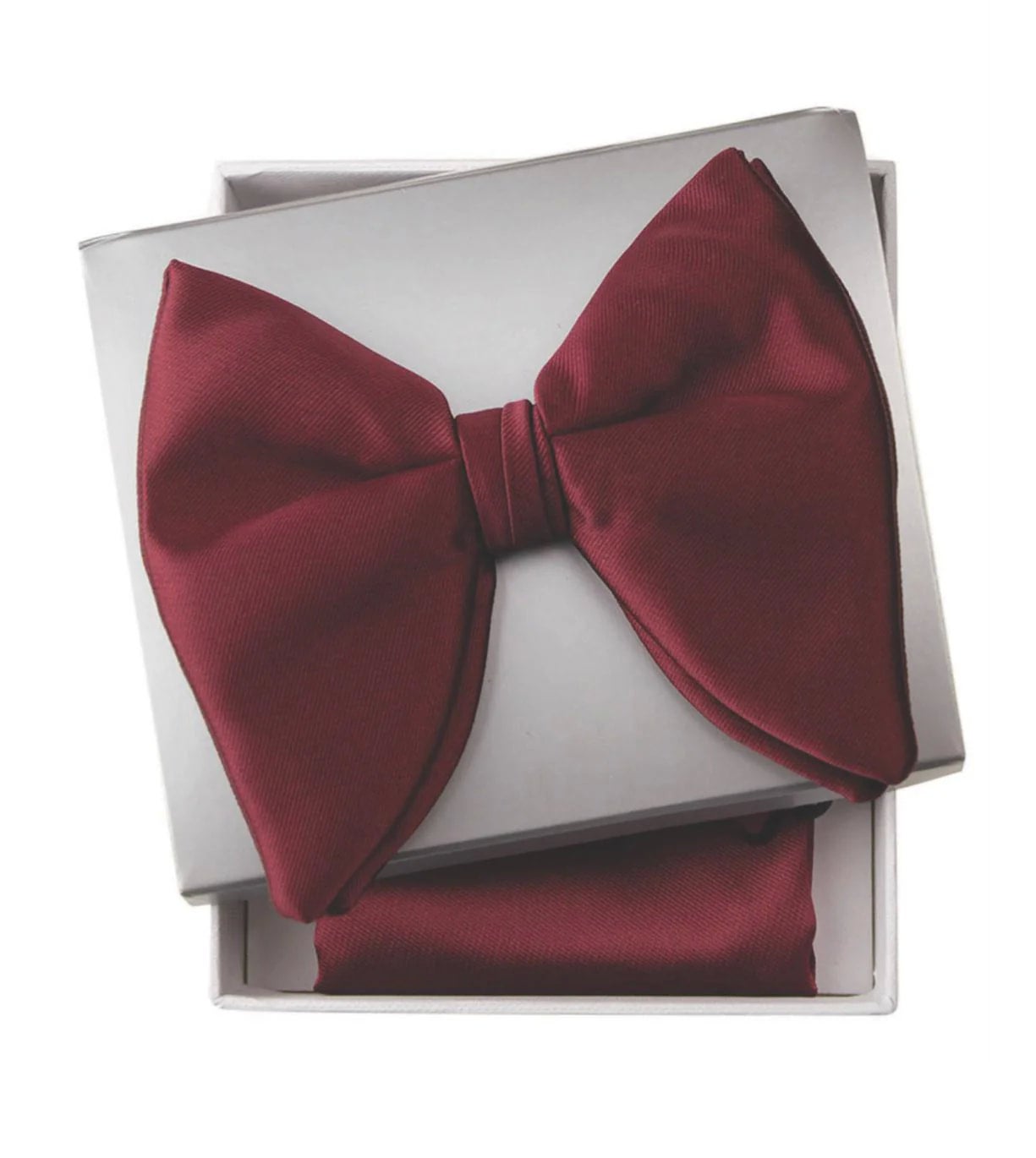 large butterfly bow tie